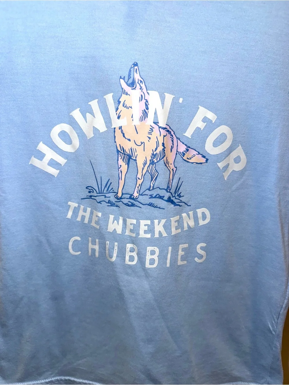 chubbies light blue